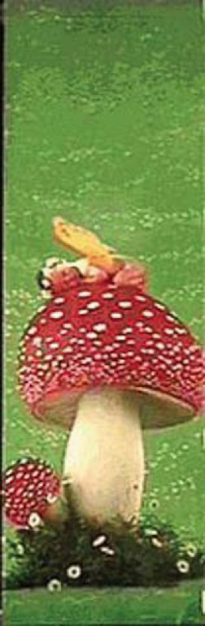 17793