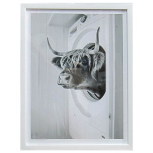 Untitled-1-cow