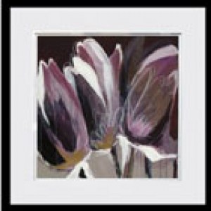Floral-&-Stilllife3