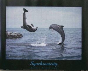 15317