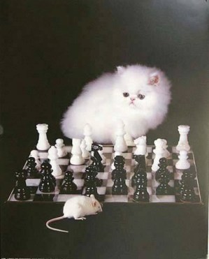 4357
