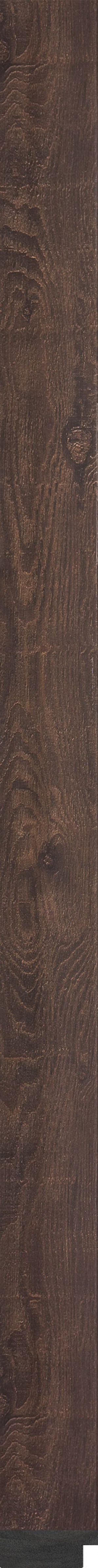 595-79