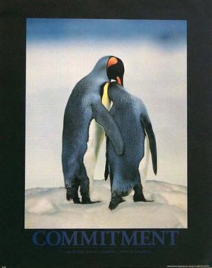 8677
