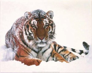 926
